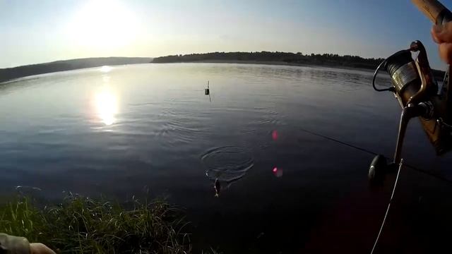 Отчёты о Рыбалке Летняя Рыбалка 2016 – Рыбалка смотреть онлайн