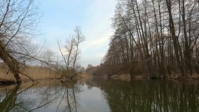 река Девица Нижняя 2023