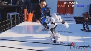 БИТВЫ РОБОТОВ В ЯПОНИИ