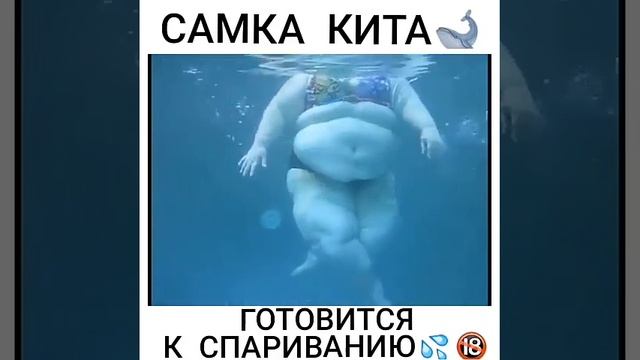 Самка кита готовится к спариванию:) смотреть онлайн