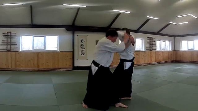 Путеводитель по айкидо. Выпуск 7. Соблюдение принципов айкидо в технике.