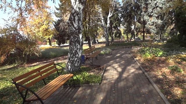 Осень в Донецком ботаническом саду смотреть онлайн