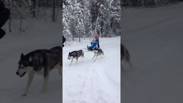 Проект 41 смотреть онлайн