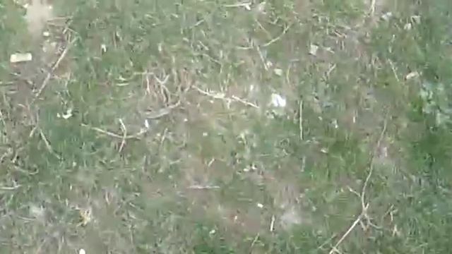 Мы насосы смотреть онлайн