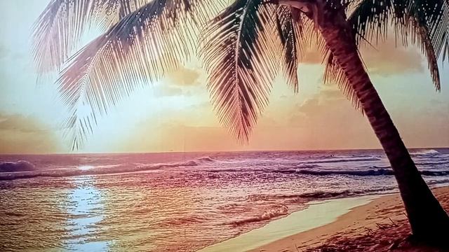 Eden-Эдем 3🍎. Возвращение в Эдем.