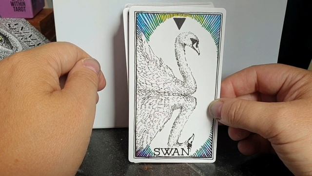 The Wild Unknow Animal Spirit Oracle Deck Flip Through смотреть онлайн