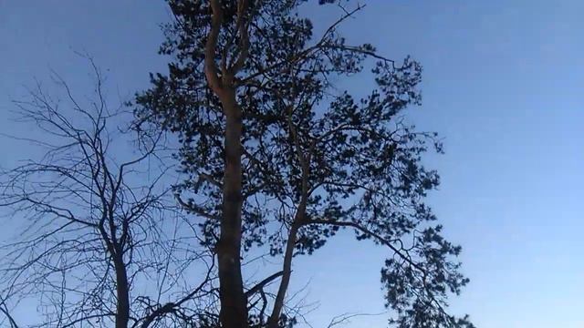 КУНИЦА и банда смотреть онлайн