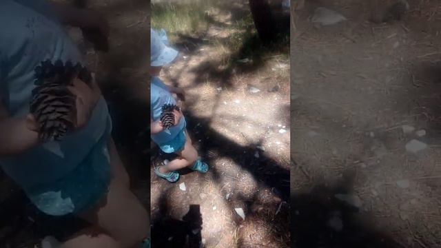 нашли шиши и пойдем в наш дом моя любимая доченька, обязательно моя девочка наш дом там где сердце смотреть онлайн