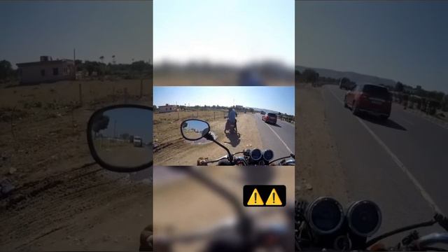 Cruelty on Animals is an inhuman act смотреть онлайн