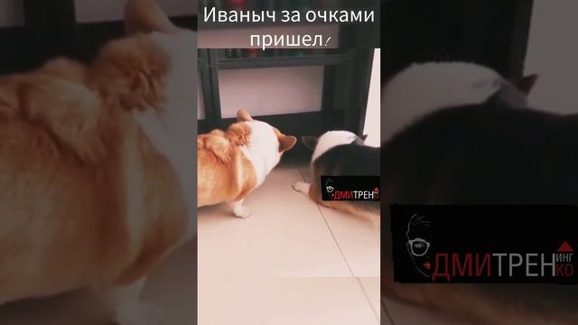 Напарники по смене ругаются)))