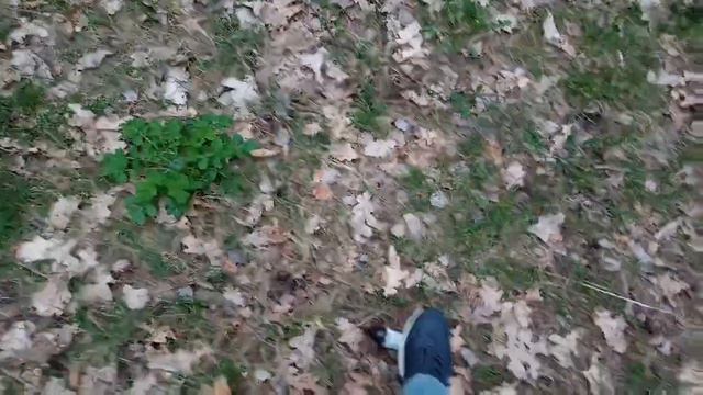 Прямо поД СамЫМ носом делаются все эти ВеЩи смотреть онлайн