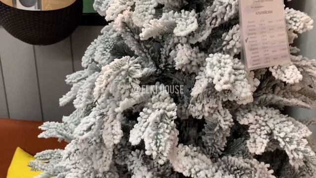 Ель Альпийская заснеженная премиум смотреть онлайн