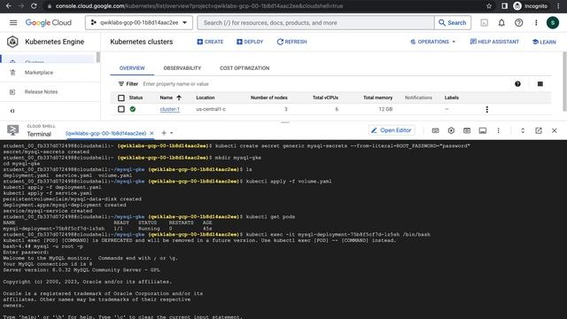 Running Databases in Google Kubernetes Engine with Explanation | Qwiklabs | Google Cloud Skills смотреть онлайн