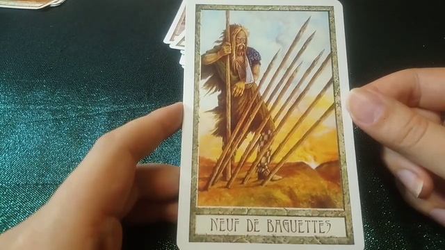The Druid Craft Tarot. Обзор колоды Карт Таро Друидов. Le Tarot des Druides. Влог Луны 25 смотреть онлайн