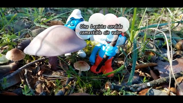 LOS PITUFOS NOS ENSEÑAN LAS SETAS CAP.1º смотреть онлайн