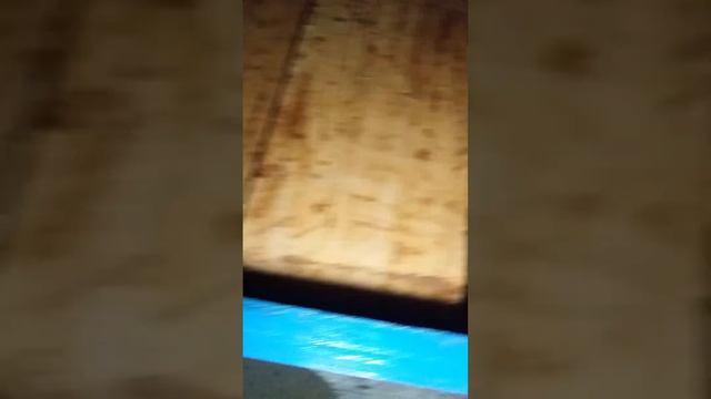 Зимовка . Сутки после подкормки пчел .