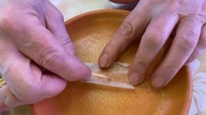 КАЛИБРАХОА, посев семян на рассаду!