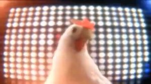 Techno chicken