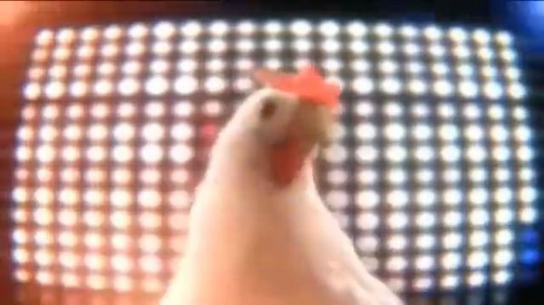 Techno chicken