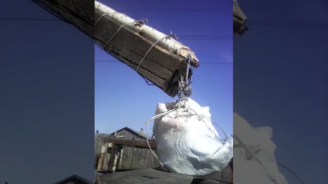 достать картошку из ямы смотреть онлайн