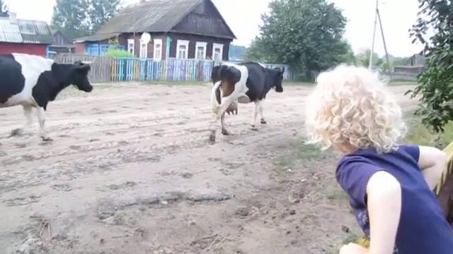Коровки без трусиков))).MOV смотреть онлайн