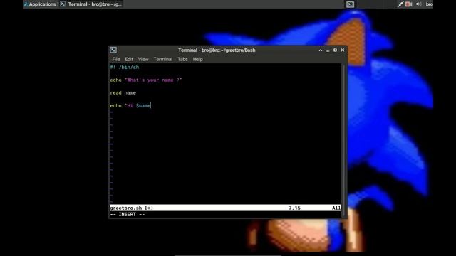 Greeting bro in Bash смотреть онлайн