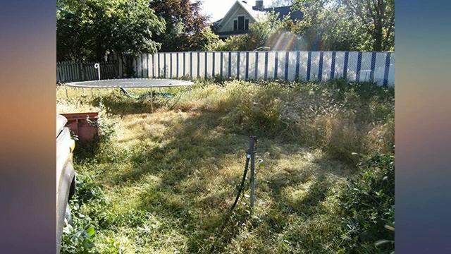 BLACK+DECKER 40V MAX String Trimmer, 13-Inch, Tool Only (LST136B) review смотреть онлайн