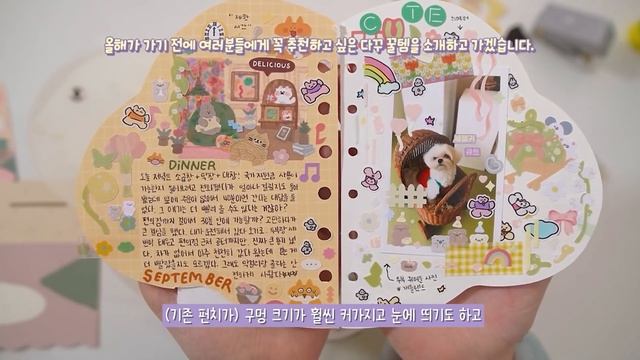 Sub | 올해가 가기 전에 여러분들에게 꼭 추천하고 싶은 다꾸 꿀템을 추천하고 가겠습니다.