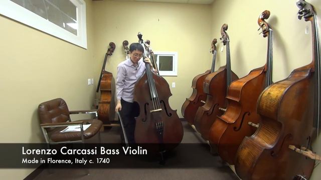 [Kolstein Bass Review] Playing evaluation of the Lorenzo Carcassi Bass Violin смотреть онлайн