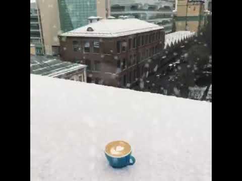 Ищем для кофейни новый дом смотреть онлайн