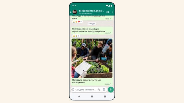 Создание канала в WhatsApp | WhatsApp