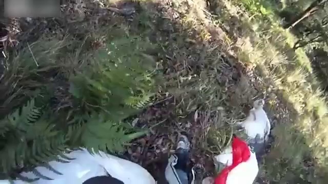 Полная версия. Жёсткое падение с орлом в парашюте. смотреть онлайн