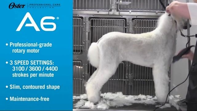 Best Dog Clippers in 2022 - Top 5 Dog Clippers смотреть онлайн