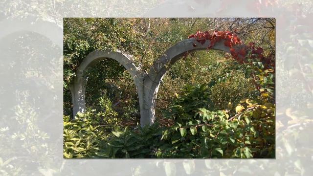 На Айфааровский вальс приглашающая смотреть онлайн