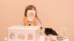 Коробка с сюрпризами котиками ! Пушин Кэт ! Pusheen cat box !
