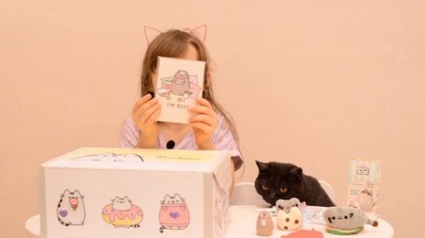 Коробка с сюрпризами котиками ! Пушин Кэт ! Pusheen cat box !
