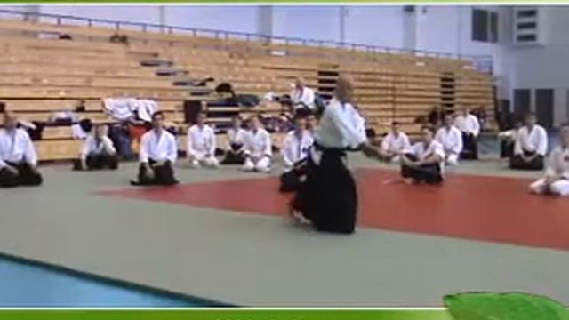 Nishio Budo seminar with Takashi KUROKI in Dnepropetrovsk (Ukraine) 20,21/06/2009 смотреть онлайн