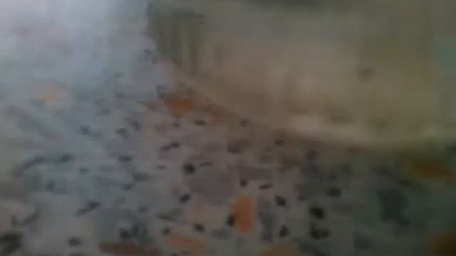 Что будет если смешать подсолнечное масло с водой смотреть онлайн