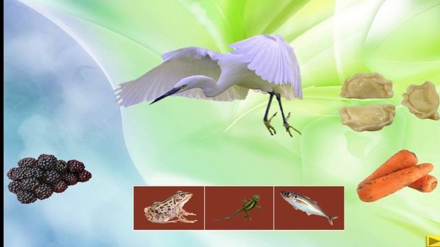 Интерактивная игра "Кто что ест?" смотреть онлайн