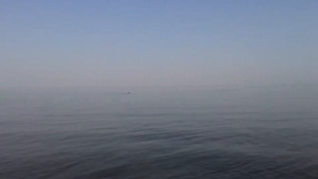 Азовское море во время штиля. Красота) / Сalm Azov Sea смотреть онлайн