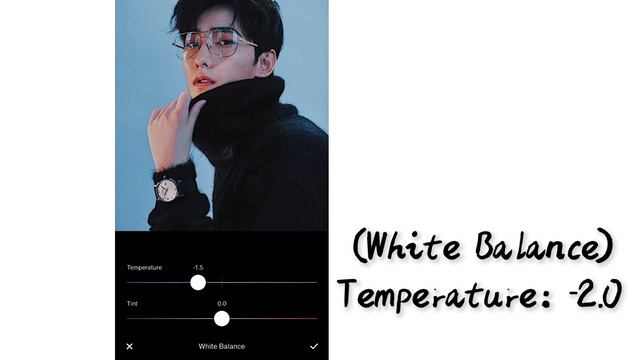 Moody Green Aesthetics | VSCO Filter || Photo Editing Tutorial смотреть онлайн