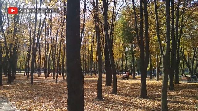 Золотая осень в Киеве // 16 октября 2021 // @Andrey Yurich смотреть онлайн