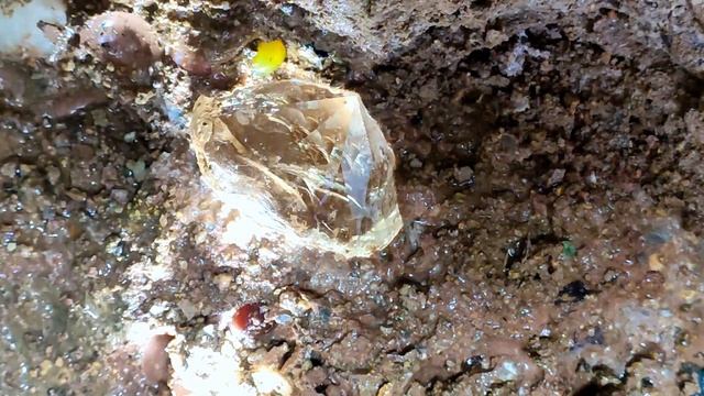 Such a big diamond. Clean and transparent with sparkles. volcano brings treasure смотреть онлайн