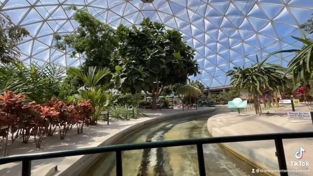 4K LIVE The groovy version ? Epcot Living With The Land смотреть онлайн