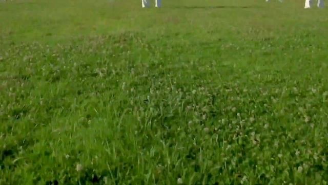 Kyokushin Karate Motivation ♡♡♡♡