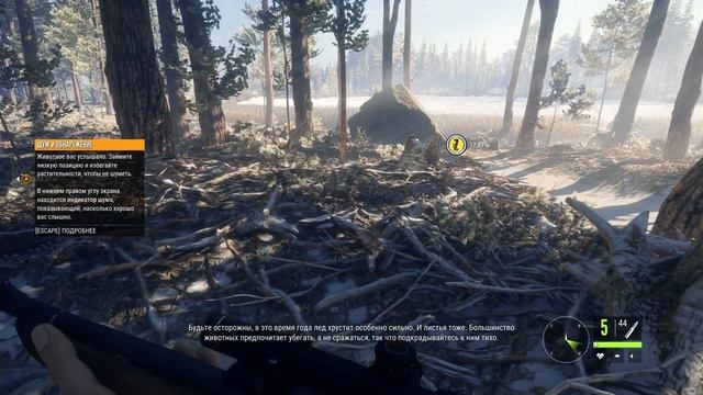 Краткий обзор The hunter call of the wild смотреть онлайн