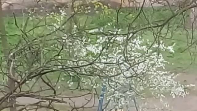 ДОБРОЕ УТРЕЧКО И СИЛА ИЗМЕНИТЬ ЖИЗНЬ 8.04.2017