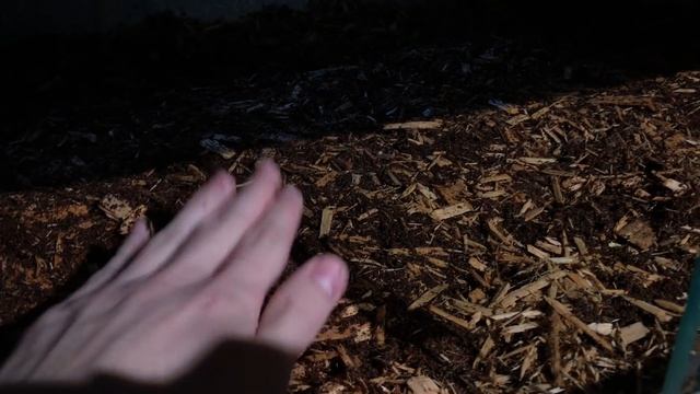 How to Set Up a DWARF BOA CONSTRICTOR (Vision Cage Setup for Hog Island Boa) смотреть онлайн