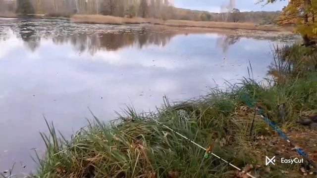 Щука !!! Похід Номер 2 ... А Вона Чекала Живця !!! смотреть онлайн