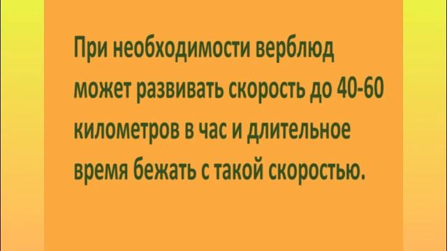 "Верблюд в пустыне" гуашь (с 6 лет) смотреть онлайн